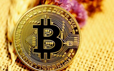 [BREAKING] Liquidations massives : et si cet été, vos BTC prenaient des vacances méritées ?