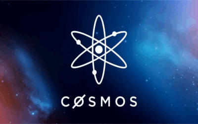 Vers une Constitution pour Cosmos : De la crise à la maturité institutionnelle